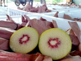 重庆巴南区2020农民丰收节暨红心猕猴桃采摘季