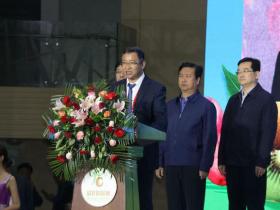 2020年会暨中国猕猴桃高质量发展峰会在陕西眉县举办