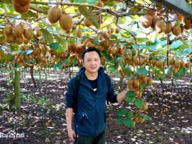 贵州猕猴桃种植技术专家王瑞介绍