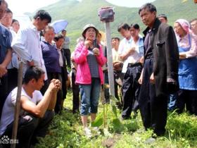 贵州猕猴桃种植技术专家李苇洁介绍