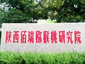 让企业和农户双赢 访陕西佰瑞猕猴桃研究院有限公司首席科学家雷玉山