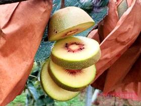 什么品种的红心猕猴桃最好吃？红阳、东红、金红、红实、伊顿、脐红
