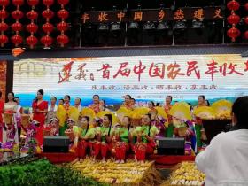 贵州遵义播州区举办了红心猕猴桃采摘节 2019 2020