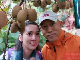 陕西周至猕猴桃将登陆拼多多“超级农货节”