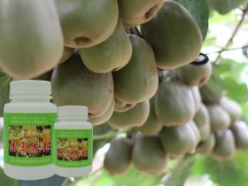 贵州省果蔬行业协会猕猴桃分会发挥资源整合优势