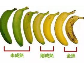 你吃的水果熟了吗？如何检测猕猴桃成熟度