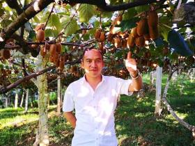 贵州圣地有机农业有限公司目前有猕猴桃水果示范园1445亩