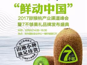 2020年贵州修文猕猴桃最佳品牌评选结果