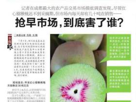 四川猕猴桃：我们没熟！不要买我！四川农村报2021年报道
