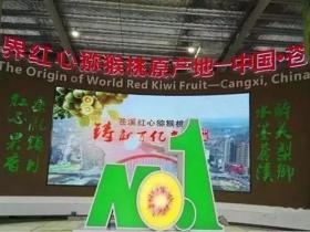 四川广元苍溪有机红心猕猴桃拍出了三万元一盒