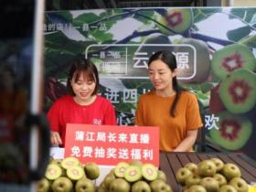 四川蒲江县农业农村局向大家热情推荐当地的口碑产品 红心猕猴桃