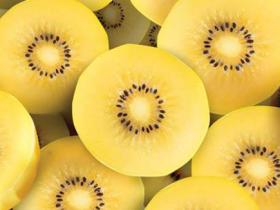新西兰佳沛开始在国内种植奇异果 但不包括阳光金果