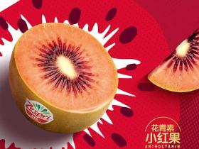 Zespri's red kiwifruit is being renamed Zespri RubyRed. Zespri的红色猕猴桃将更名为Zespri RubyRed（宝石红猕猴桃）